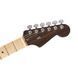FENDER RARITIES FLAME MAPLE TOP STRATOCASTER Електрогітара FE-0554 фото 3