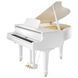Цифровой рояль Roland GP609-PW RO-2638 фото 1