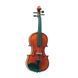 Скрипка Gliga Violin Gama I GL-0196 фото 1
