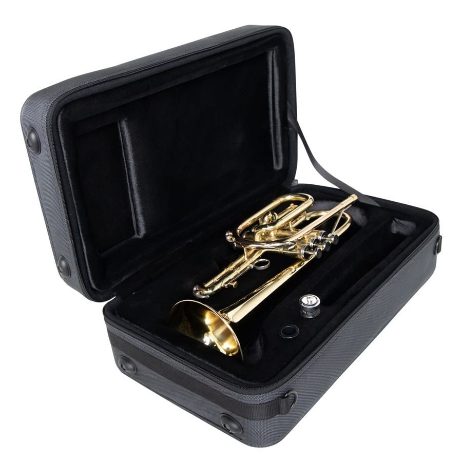 Gator GL-CORNET-23 new-0123 фото