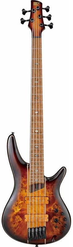 IBANEZ SR5PBLTD DEL Бас-гитара IB-0249 фото