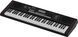 Синтезатор-аранжировочная станция Roland E-X10 RO-2942 фото 7