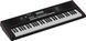 Синтезатор-аранжировочная станция Roland E-X10 RO-2942 фото 4