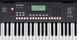 Синтезатор-аранжировочная станция Roland E-X10 RO-2942 фото 17