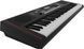 Синтезатор-аранжировочная станция Roland E-X10 RO-2942 фото 2