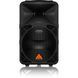 Активная акустическая система Behringer B612D BE-0085 фото 1