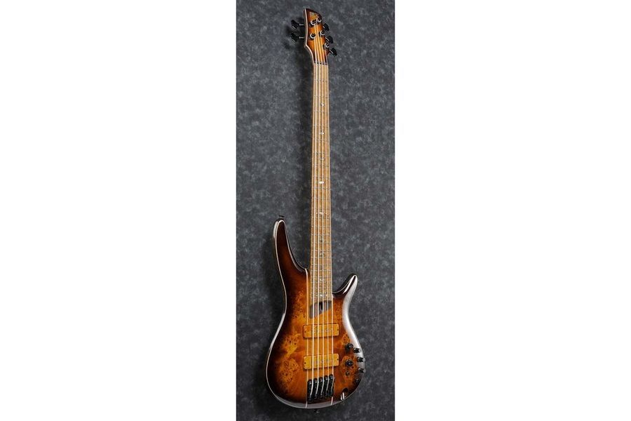 IBANEZ SR5PBLTD DEL Бас-гитара IB-0249 фото