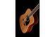 IBANEZ PF15-12 NT Гітара акустична IB-0028 фото 4