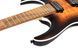 IBANEZ RGA42FM DEF Електрогітара IB-0205 фото 4