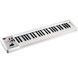 Midi-клавиатура Roland A49BK RO-0015 фото 2