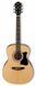 IBANEZ VC50NJP NT Гитарный набор IB-0277 фото 2
