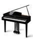 Цифровой рояль Kawai DG30 KA-0174 фото 1
