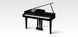 Цифровой рояль Kawai DG30 KA-0174 фото 3