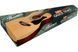 IBANEZ VC50NJP NT Гітарний набір IB-0277 фото