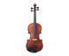 Скрипка Gliga Violin Gama II GL-0197 фото 1