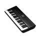 Midi-клавіатура Korg TRTK-49 KO-0099 фото 2