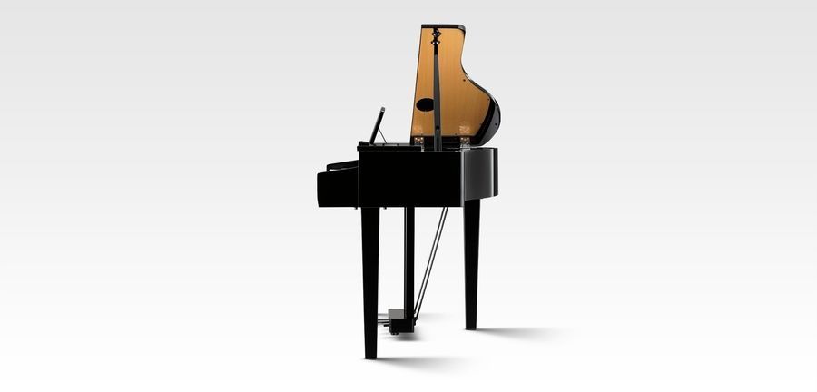 Цифровой рояль Kawai DG30 KA-0174 фото