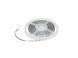 EUROLITE LED IP Strip 600 5m 2835 2700K 24V EL-0848 фото 1