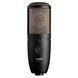 Микрофон AKG Perception P420 AK-0029 фото 1