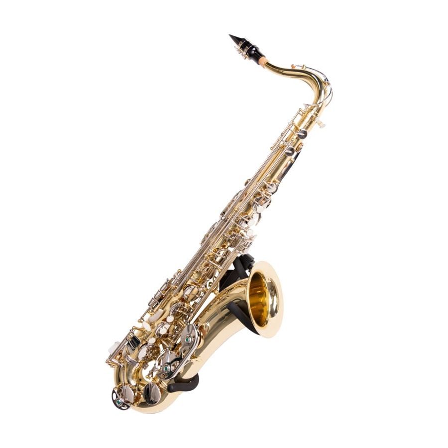 Gator GFW-SAXHNGR-BLK GC-0818 фото
