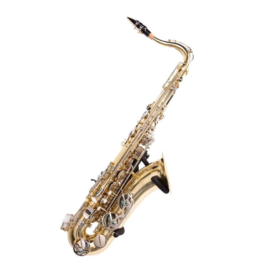 Gator GFW-SAXHNGR-BLK GC-0818 фото