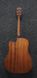 IBANEZ PF10CE OPN Гітара електроакустична IB-0163 фото