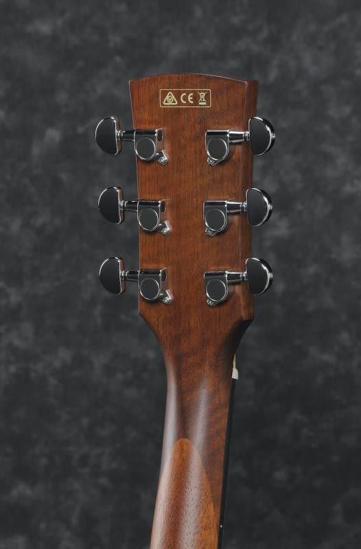 IBANEZ PF10CE OPN Гитара электроакустическая IB-0163 фото