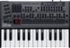 Синтезатор Roland JD-08 RO-2851 фото 6