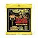 Струни для акустичної гітари 10-50 Ernie Ball P02160 EB-0098 фото