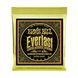 Струни для акустичної гітари 10-50 Ernie Ball P02560 EB-0015 фото