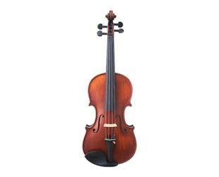 Скрипка Gliga Violin Gama II (1/2) GL-0189 фото