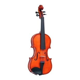 Скрипка учнівська GLIGA Violin 1/10 Genial I GL-0176 фото