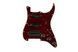 FENDER PRE-WIRED STRAT PICKGUARD HSS TORTOISE SHELL 11 HOLE Пікгард зі звукознімачами FE-0543 фото 1