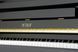 Пианино Petrof P 122 N2-0801 PF-0015 фото 3