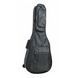 Чохол для гітари Proel BAG200PN PR-0424 фото