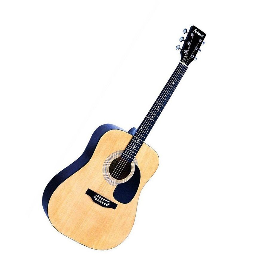 Гітара акустична Falcon FG100N 4/4 FN-0004 фото