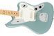 FENDER AMERICAN PROFESSIONAL JAGUAR MN SNG Електрогітара FE-0092 фото 5