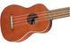 FENDER UKULELE VENICE SOPRANO NATURAL WN Укулеле FE-0124 фото 2