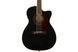 FENDER PM-3CE TRIPLE-O MAHOGANY BLACK TOP LTD Гітара електроакустична FE-0542 фото 3