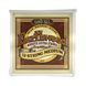 Струни для акустичної гітари 11-52 Ernie Ball P02012 EB-0009 фото