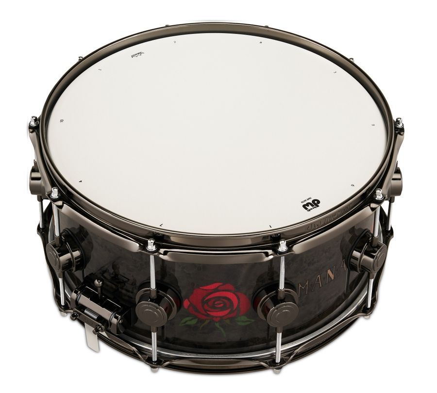 DW DREX6514SSN-AGAlex Gonzalez DW ICON Snare Drum DW-X310 фото
