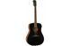 FENDER PM-1E DREADNOUGHT MAHOGANY BLACK TOP LTD Гитара электроакустическая FE-0541 фото 3