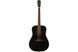 FENDER PM-1E DREADNOUGHT MAHOGANY BLACK TOP LTD Гитара электроакустическая FE-0541 фото