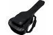 IBANEZ IABB540-BK Чехол для бас-гитары IB-0131 фото 1