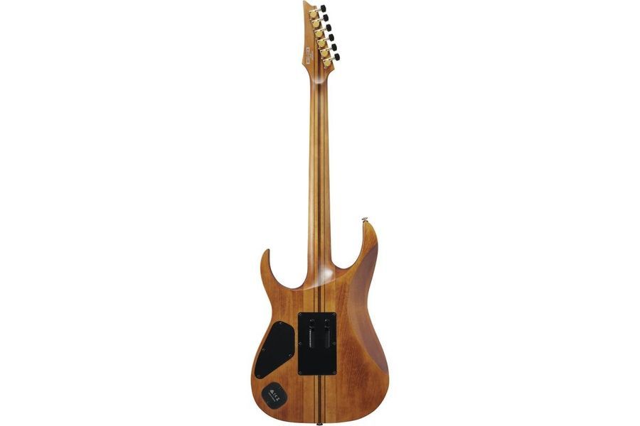 IBANEZ RGT1220PB-ABS Электрогитара IB-0228 фото
