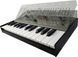 Синтезатор Roland SH-01A RO-2310 фото 5