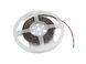 EUROLITE LED Strip 300 5m 3528 5700K 12V EL-1065 фото 2