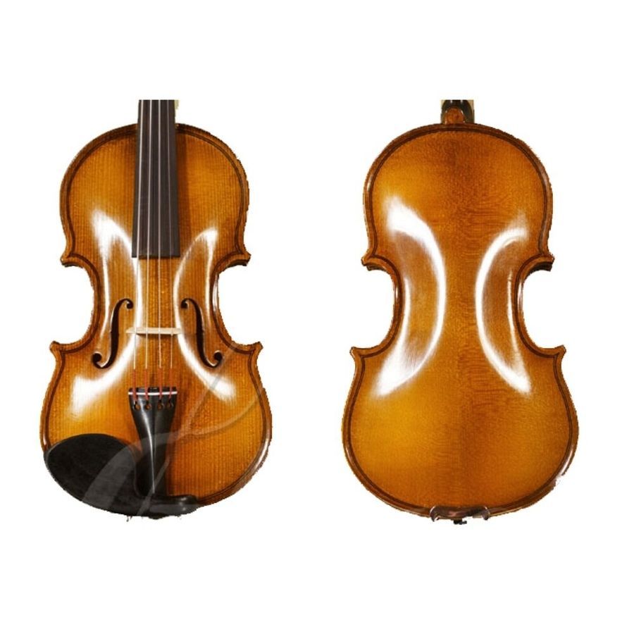 Скрипка ученическая GLIGA Violin 3/4 Genial II GL-0227 фото
