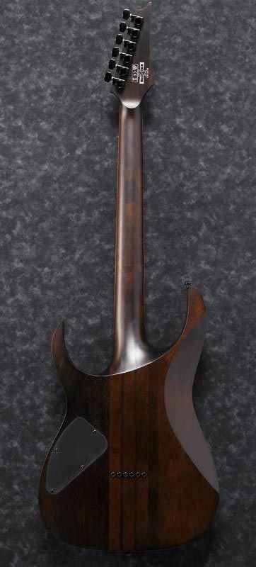 IBANEZ RGRT421-WNF Электрогитара IB-0225 фото