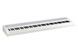 KORG B2-WH Цифровое пианино KO-0114 фото 3